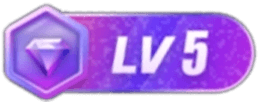 等级-LV5-淘宝虚拟仓