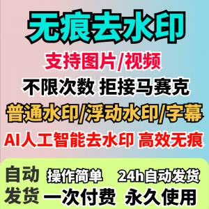 视频去水印软件无痕消除文字AI去除图片字幕水印处理手机电脑神器-淘宝虚拟仓