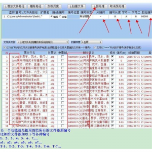 批量文件名提取软件/文件名批量编号/文件名批量修改-淘宝虚拟仓