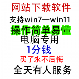 扒站扒网站扒网页扒全站下载修改下载软件克隆工具抓取拷贝单页-虚拟电商货源