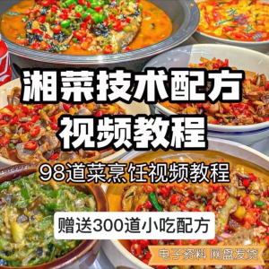 图片[1]-【0.01秒发】98道湘菜技术配方视频教程商用湖南菜炒菜特色小吃-淘宝虚拟仓