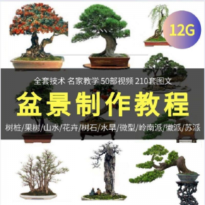 图片[1]-盆景制作技术视频教程工艺教学果树桩山水微型造型全套-淘宝虚拟仓