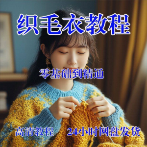图片[1]-手工织毛衣视频零基础传统棒针钩针毛线编织婴儿童全套-淘宝虚拟仓