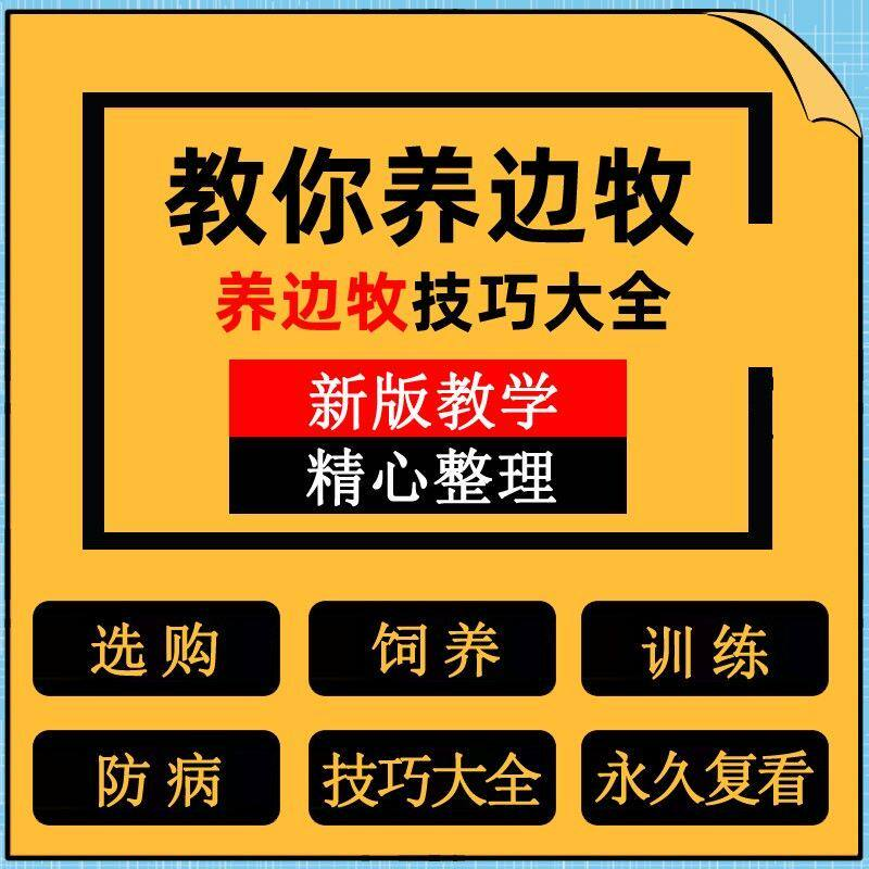 边牧训练方法教程边境牧羊犬驯养技术饲养喂养选购训犬技巧大全套-淘宝虚拟仓