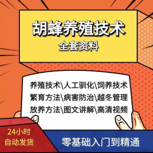 胡蜂养殖技术：黄蜂黑盾人工饲养视频教程合集