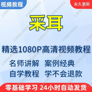 采耳手法视频教程：新手入门必学！从零开始到精通的系统教学合集-鱼渣资源