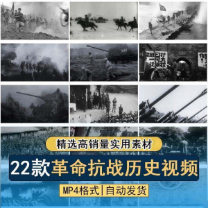 中国近现代革命斗争历史纪录片合集:抗日战争、解放战争与长征精神影像全记录-鱼渣资源