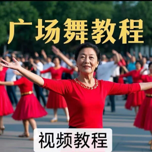 图片[1]-中老年广场舞视频下载高清视频教学打包MP4 MP3背面动作分解教程-淘宝虚拟仓