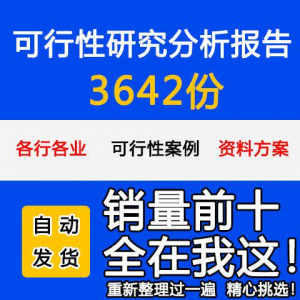 项目可行性研究分析报告案例品牌融资投资研究资料方案大全模板-淘宝虚拟仓