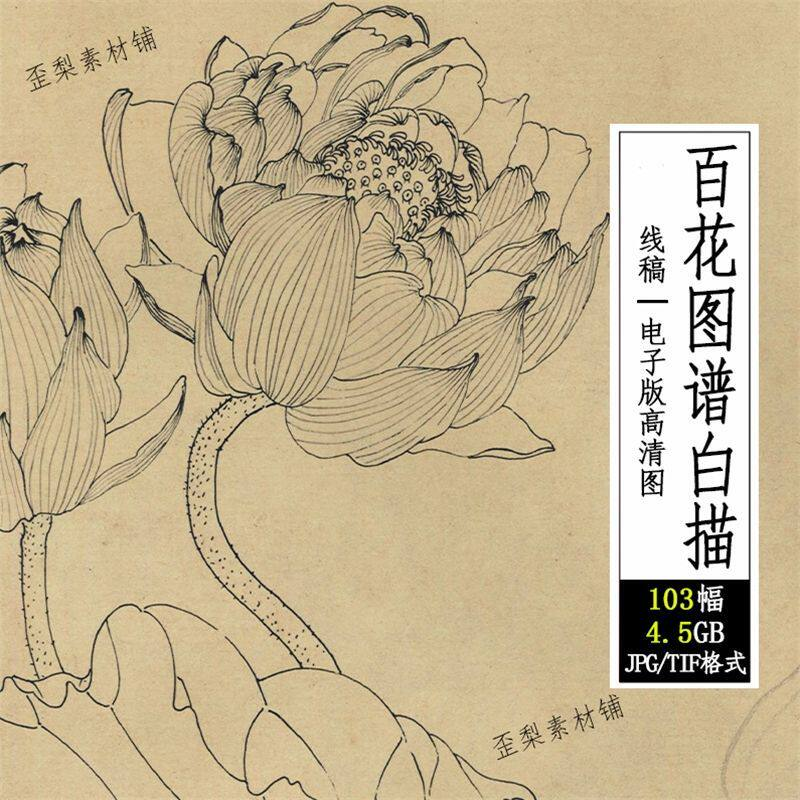 百花图谱白描线稿图集 国画花卉植103幅tif格式3.6G高清图片素材-淘宝虚拟仓