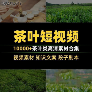 图片[1]-茶叶茶业茶具茶道茶艺茶文化知识文案茶园采茶泡茶高清短视频素材-淘宝虚拟仓