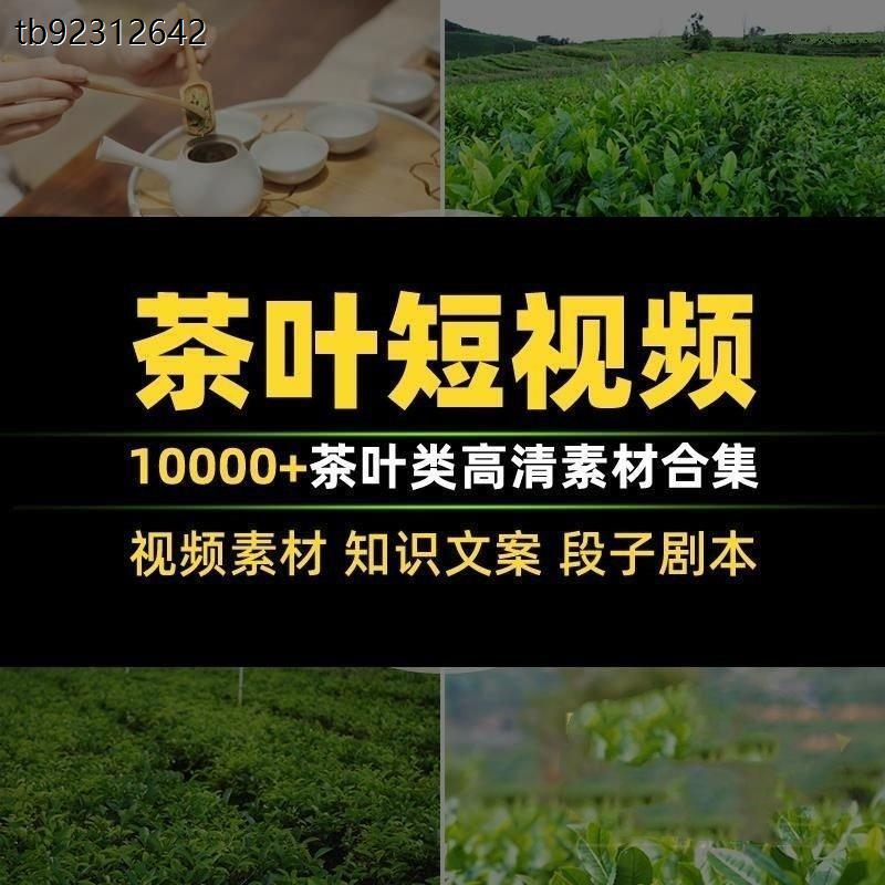 茶叶茶业茶具茶道茶艺茶文化知识文案茶园采茶泡茶高清短视频素材-淘宝虚拟仓